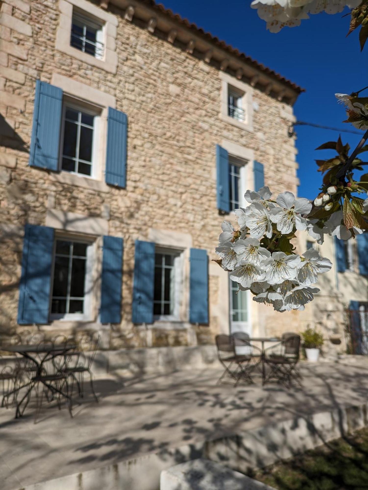 Mas De La Roule, 4 Studios, Piscine Chauffee, Spa, Parc 2 Ha, Pont D'avignon A Pied Appartamento *